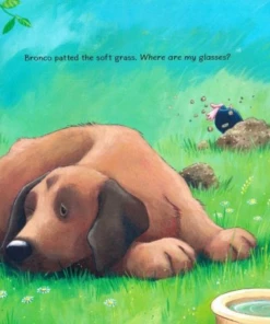 Waterbrook Tim Tebow - Bronco And Friends: A Party To Remember