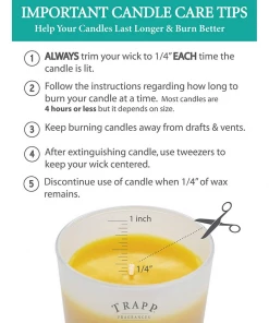 Candles Trapp Signature Candle - Lemongrass Verbena